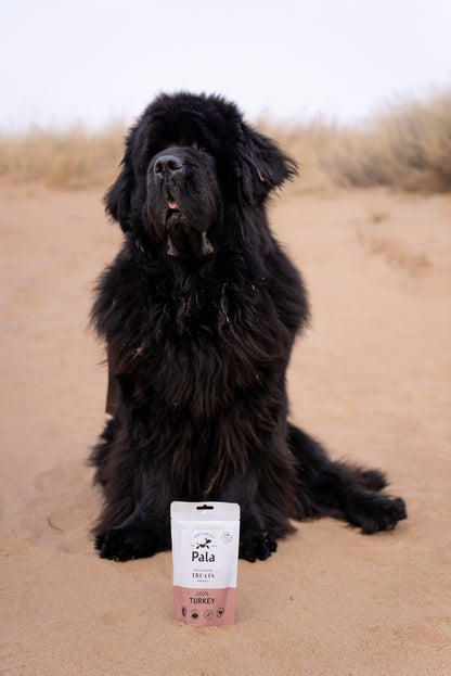 100% Turkey dog treats