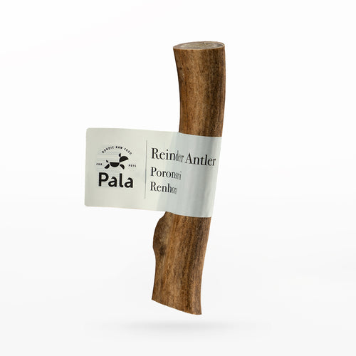 Pala Reindeer Antler Chew for dogs Size L