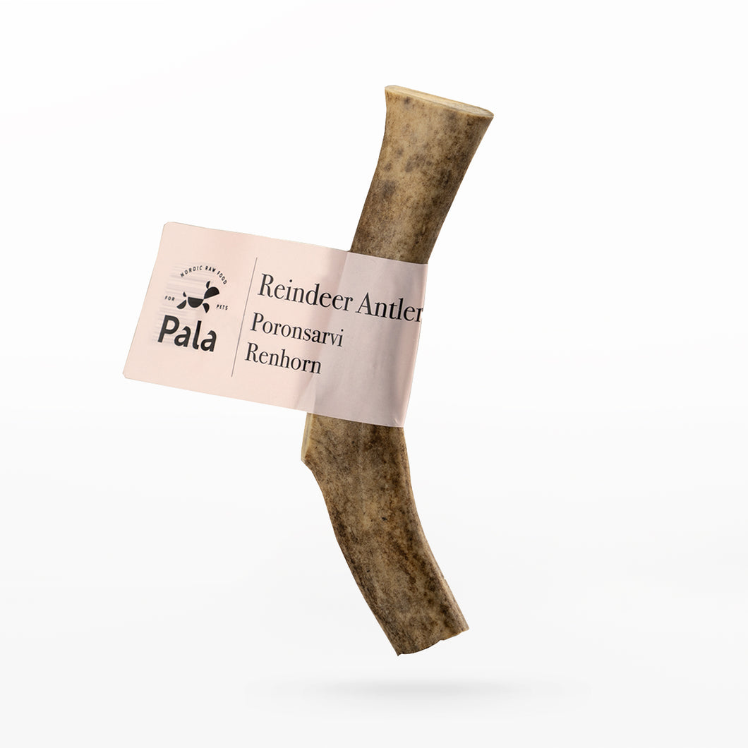 Pala Reindeer Antler Chew for dogs Size S