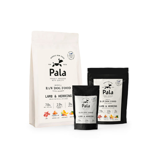 all sizes of pala recipe 7 premium quality food for dog